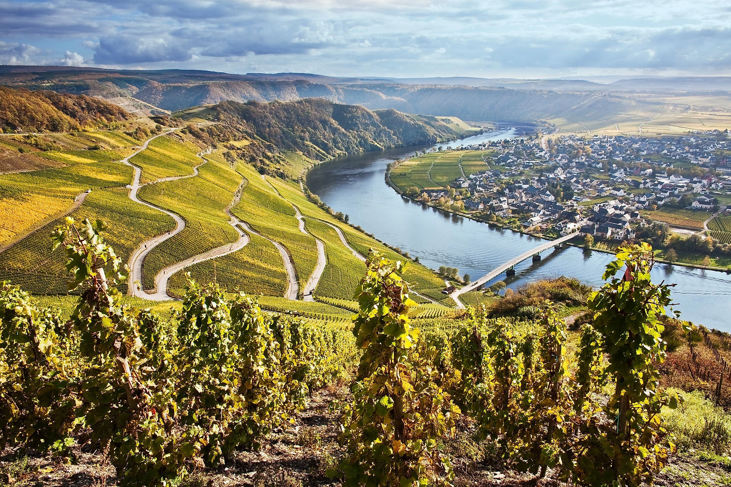 Piesporter Goldtröpfchen Weinlage der Mosel