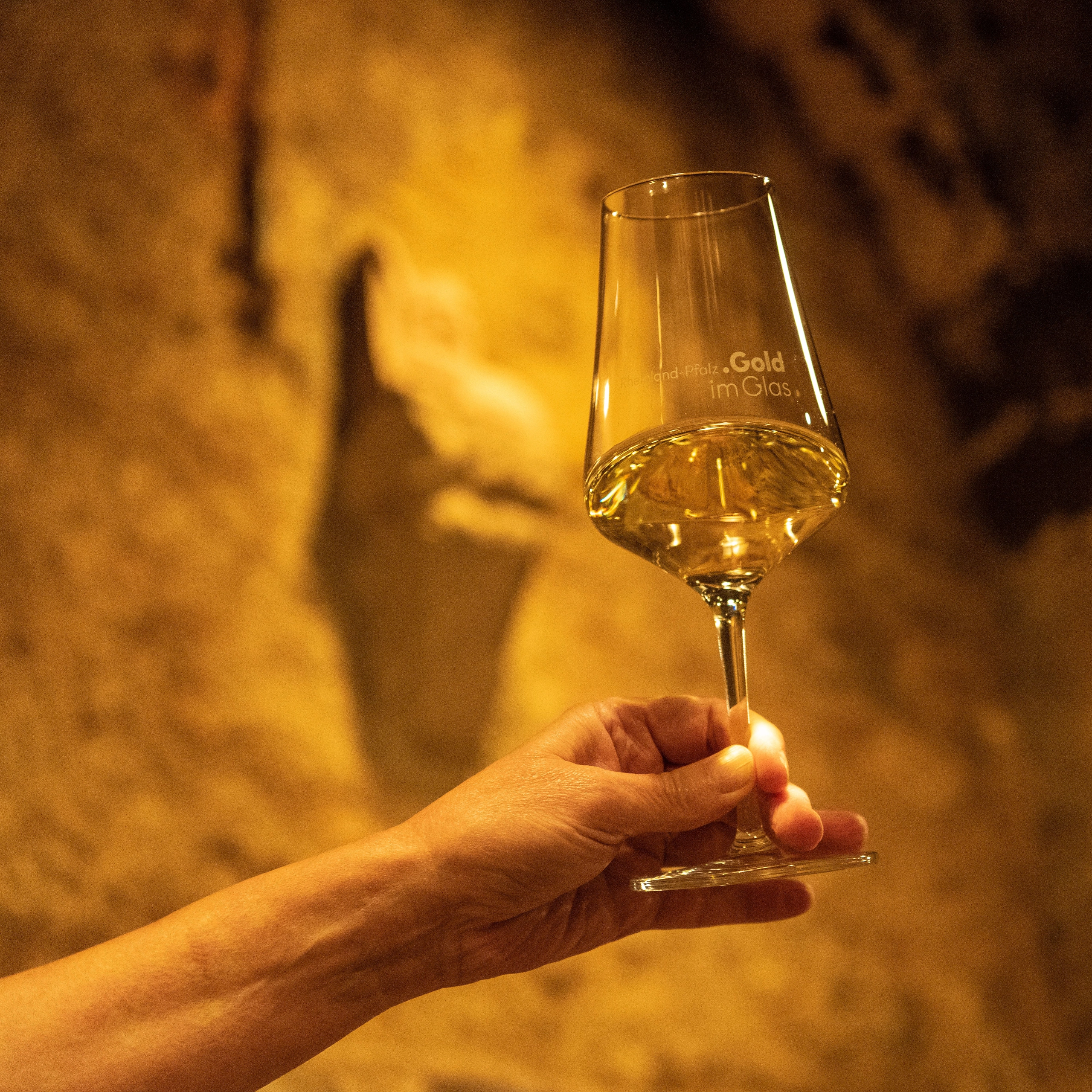 Vereinigte Hospitien Weinprobe im Weinkeller