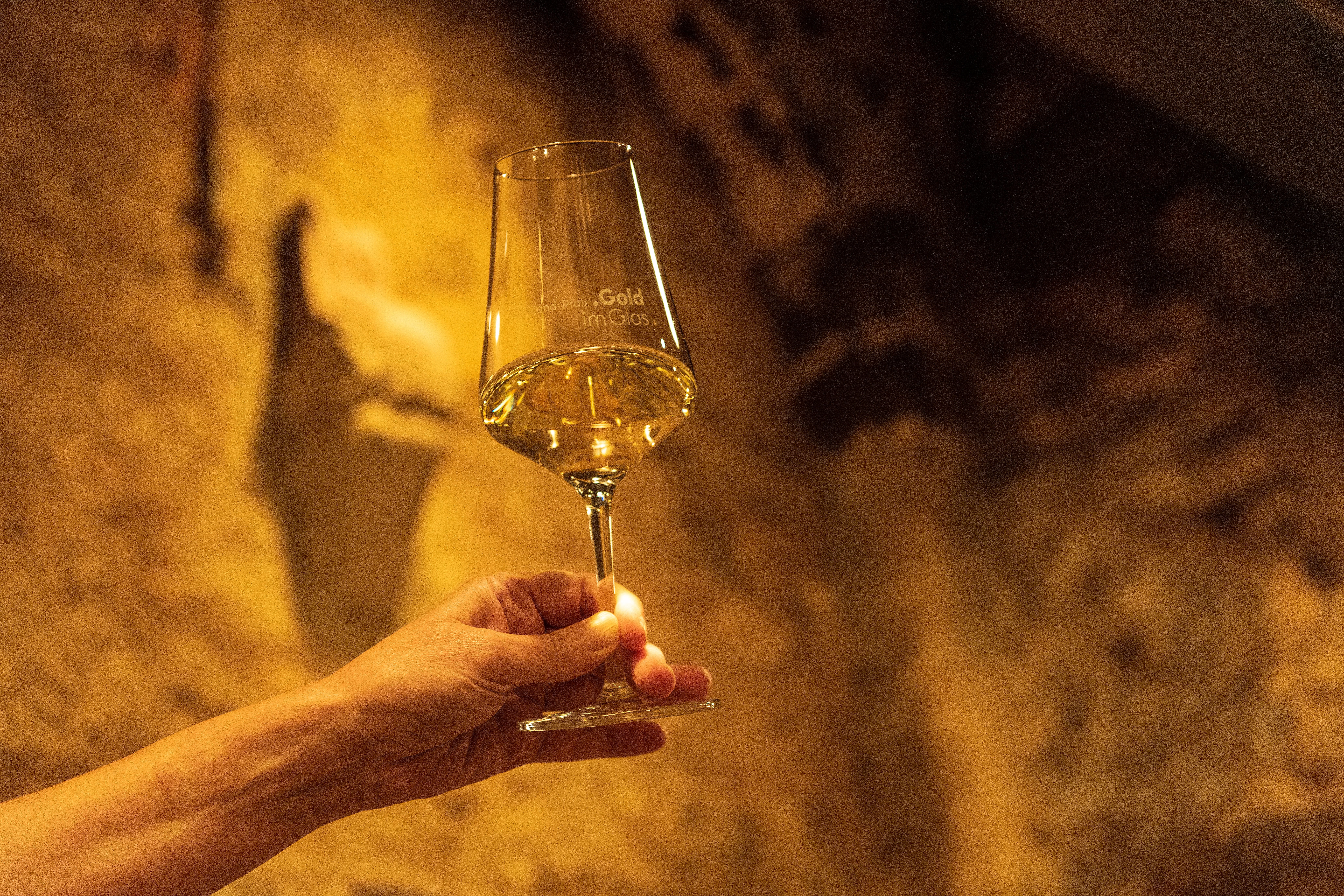Weinprobe im Weinkeller