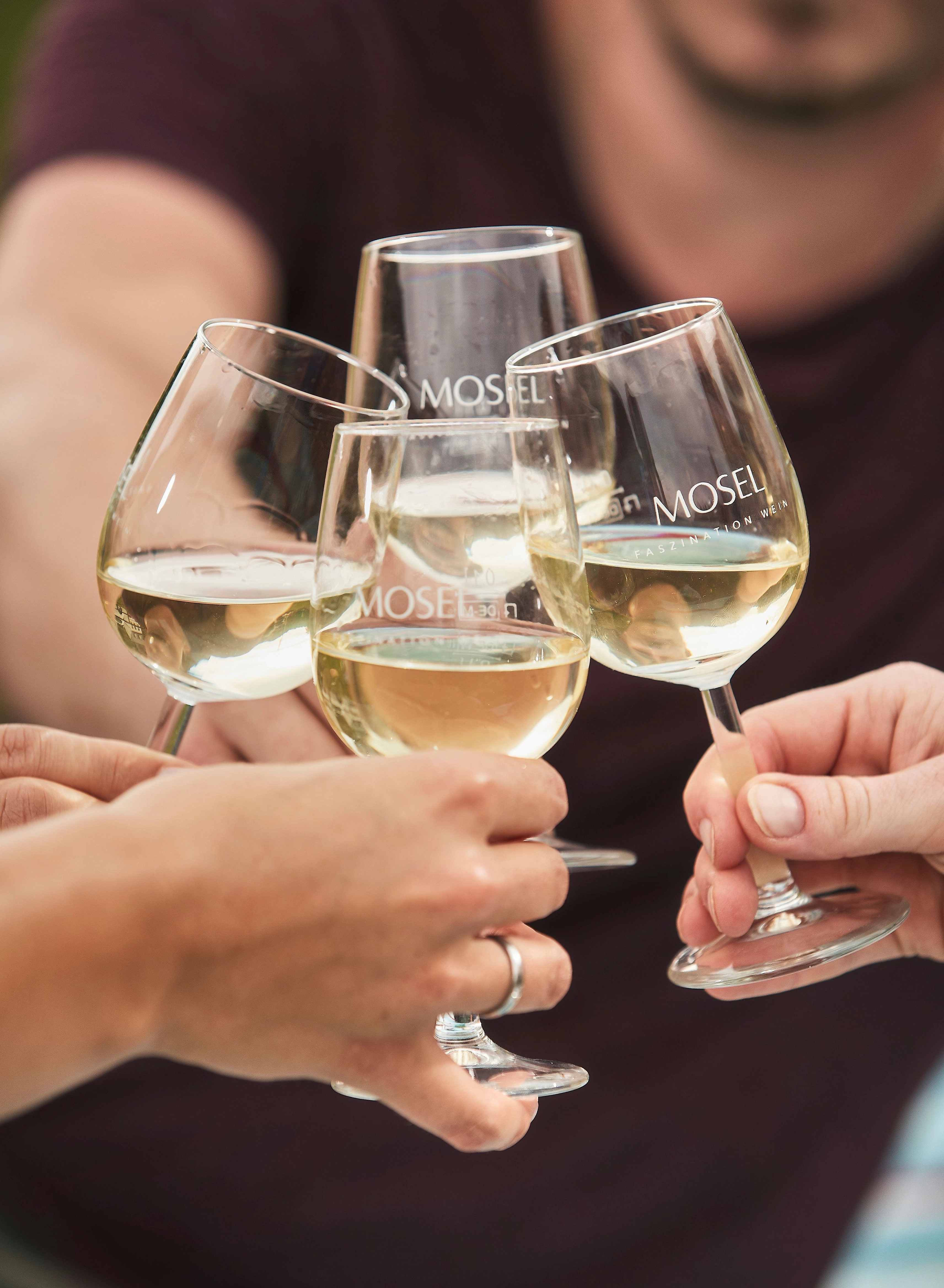 Weingenuss Vier Weingläser mit Weißwein mit denen angestoßen wird.