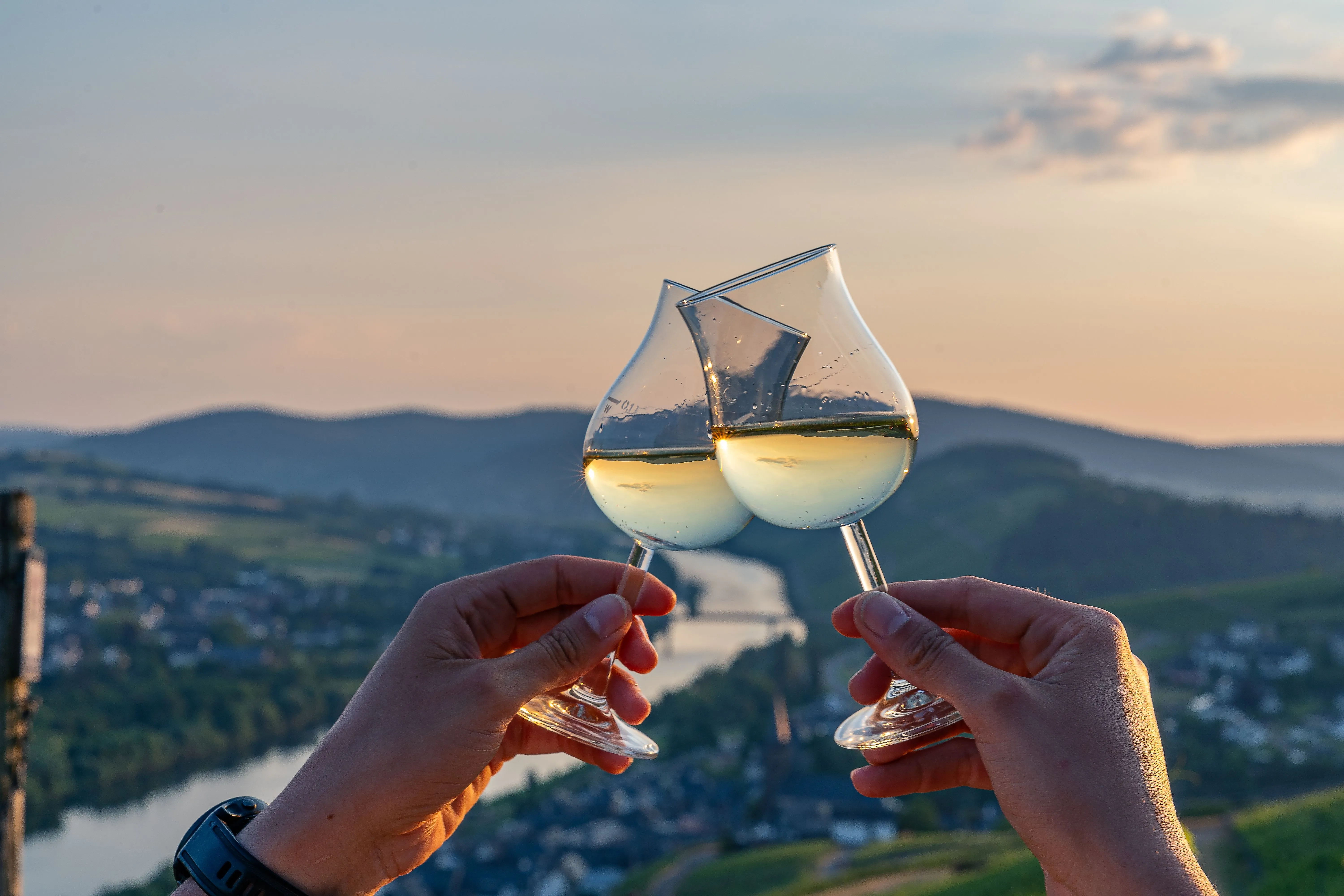 Zwei Weingläser; im Hintergrund das Moseltal